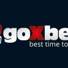 Online casino Goxbet